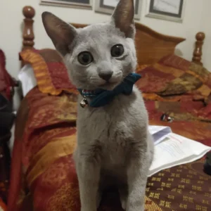 Sterling