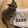 Zeke